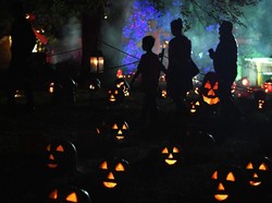 Kerumunan Pesta Halloween di Kafe Kuningan, Pengelola Diperiksa Polisi