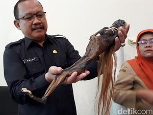 Inilah Jenglot yang Bikin Gempar Surabaya