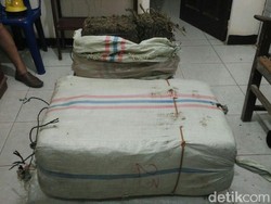 Petani di Aceh Diciduk karena Bawa 75 Kg Ganja, 3 Temannya Kabur