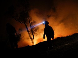 Begini Seramnya Kebakaran Hutan di Portugal