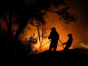 Kini Kebakaran Mengancam Warga Italia