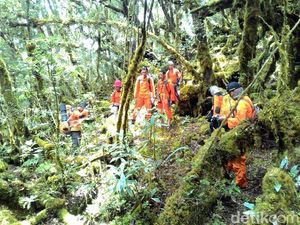 3 Pendaki yang Hilang di Gunung Latimojong Ditemukan Selamat