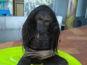 Bertaring hingga Berbadan Ular, Ini Jenglot yang Bikin Geger