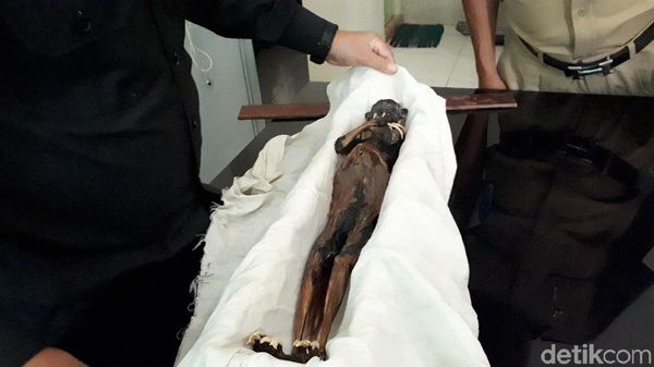 Panas Pekan Ini: Bupati Lebak Ngamuk Hingga Jenglot Misterius