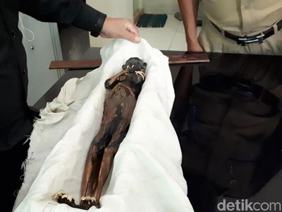 Panas Pekan Ini: Bupati Lebak Ngamuk Hingga Jenglot Misterius