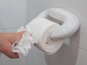 Kebiasaan saat BAB Ini Kesannya Jorok, Tapi Penting untuk Kesehatan