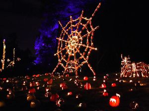 Foto: 7.000 Labu Bercahaya di Perayaan Halloween Foto: 7.000 Labu Bercahaya di Perayaan Halloween