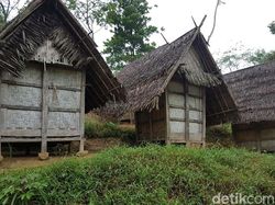 Rumah Adat Baduy Tetap Kokoh Meski Ada Gempa M 6,9, Apa Rahasianya?