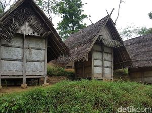 Rumah Adat Baduy Tetap Kokoh Meski Ada Gempa M 6,9, Apa Rahasianya? Rumah Adat Baduy Tetap Kokoh Meski Ada Gempa M 6,9, Apa Rahasianya?