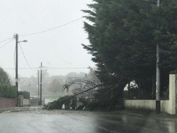 Badai Ashley Hantam Irlandia, Penumpang Ditinggalkan di Landasan Pacu