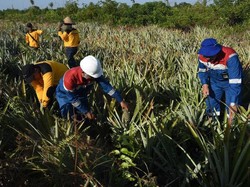 Pertamina Gandeng Petani Riau Olah Lahan Bekas Kebakaran Hutan