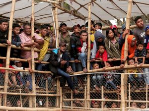 Kritik untuk Riuh Tawa Warga yang Saksikan Adu Bagong