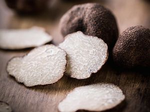 Bahan Makanan yang Mahal Bisa Diganti dengan Trik Ini Bahan Makanan yang Mahal Bisa Diganti dengan Trik Ini