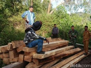 Tangkap 3 Pembalak Liar di Aceh, Polisi Sita Kayu Gelondongan