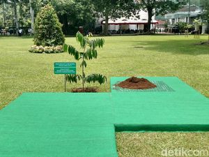 Jokowi dan Emir Qatar Tanam Pohon Eboni di Depan Istana Bogor