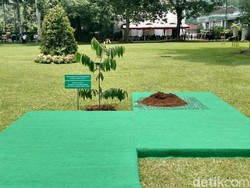 Jokowi dan Emir Qatar Tanam Pohon Eboni di Depan Istana Bogor