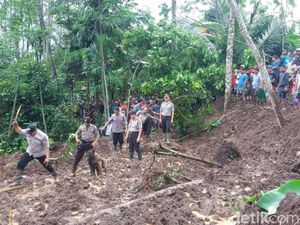 Tiga Hari Pencarian, Tiga Korban Longsor di Jember Belum Ditemukan