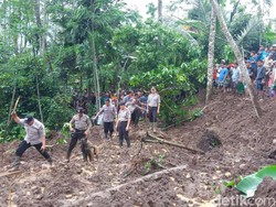 Tiga Hari Pencarian, Tiga Korban Longsor di Jember Belum Ditemukan