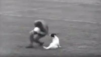 Pernah dengar kisah karier profesional seorang pesepakbola berakhir karena ditabrak anjing? Itu terjadi pada Chris Brodie di tahun 1970 ketika seekor anjing yang berlari masuk lapangan menabrak dirinya, membuat ligamen lututnya cedera. (Foto: Screenshot Youtube)