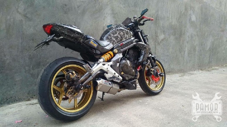 Kawasaki ER6n modif