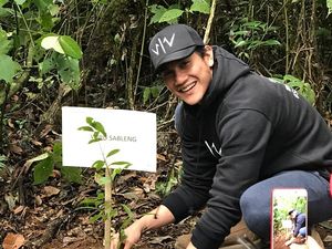 Dukung Pelestarian Alam, Tim Wiro Sableng 212 Tanam Pohon di Hutan