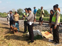 Seorang Pencari Rumput Tewas Ditabrak Kereta Ranggajati