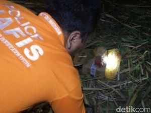 Warga Jombang Temukan Potongan Tangan Manusia di Kebun Tebu Warga Jombang Temukan Potongan Tangan Manusia di Kebun Tebu