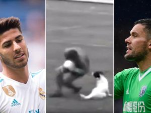 Cedera-cedera Aneh Pesepakbola: Akibat Urin, Game, Sampai Anjing