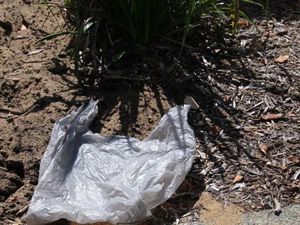 Kantung Plastik Sekali Pakai Kini Dilarang di Victoria
