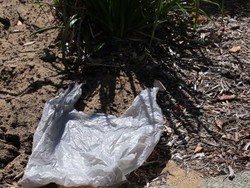 Kantung Plastik Sekali Pakai Kini Dilarang di Victoria