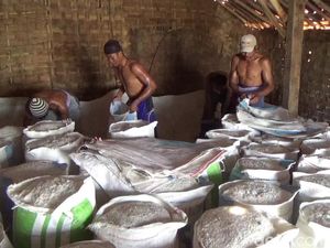 Jaga Investasi, Menperin Permudah Impor Garam Kebutuhan Industri Jaga Investasi, Menperin Permudah Impor Garam Kebutuhan Industri
