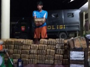 Tepergok Bungkus 410 Kg Ganja, Petani di Aceh Ditangkap