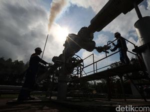 PGE Catat Laba US$ 127 Juta di 2022, Naik 49,7% PGE Catat Laba US$ 127 Juta di 2022, Naik 49,7%