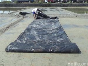 Petani Garam di Rembang Mulai Gulung Tikar