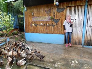 Wisata Edukatif Baru di Ancol, Cocok Buat Keluarga