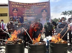 Polres Simalungun Musnahkan Ganja Senilai Setengah Miliar Lebih