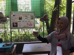 Weekend di Ancol, Bisa Belajar Bikin Lampu dari Buah Kelapa