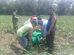 Pensiunan Polisi Ditemukan Meninggal di Kebun Jagung