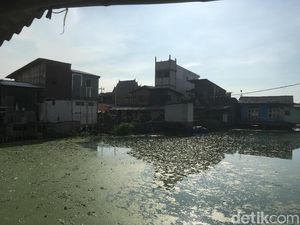 Pak Anies, Warga Kampung Apung Sudah Lelah dengan Genangan