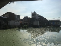 Pak Anies, Warga Kampung Apung Sudah Lelah dengan Genangan