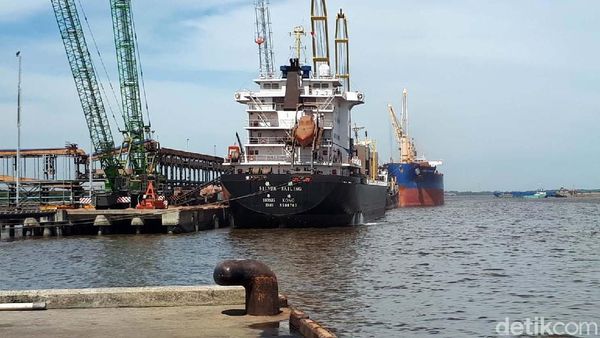 Mengintip Pelabuhan Ekspor CPO Terbesar di Indonesia