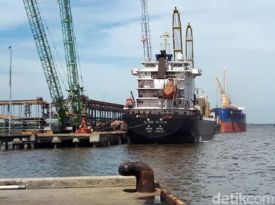 Mengintip Pelabuhan Ekspor CPO Terbesar di Indonesia
