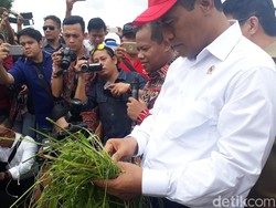 Ke Kalbar, Mentan Janjikan Perbaikan Irigasi dan Bibit Jagung