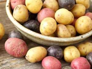 Makanan untuk Pria Kurus hingga Secangkir Kopi Berharga Rp 740 Ribu