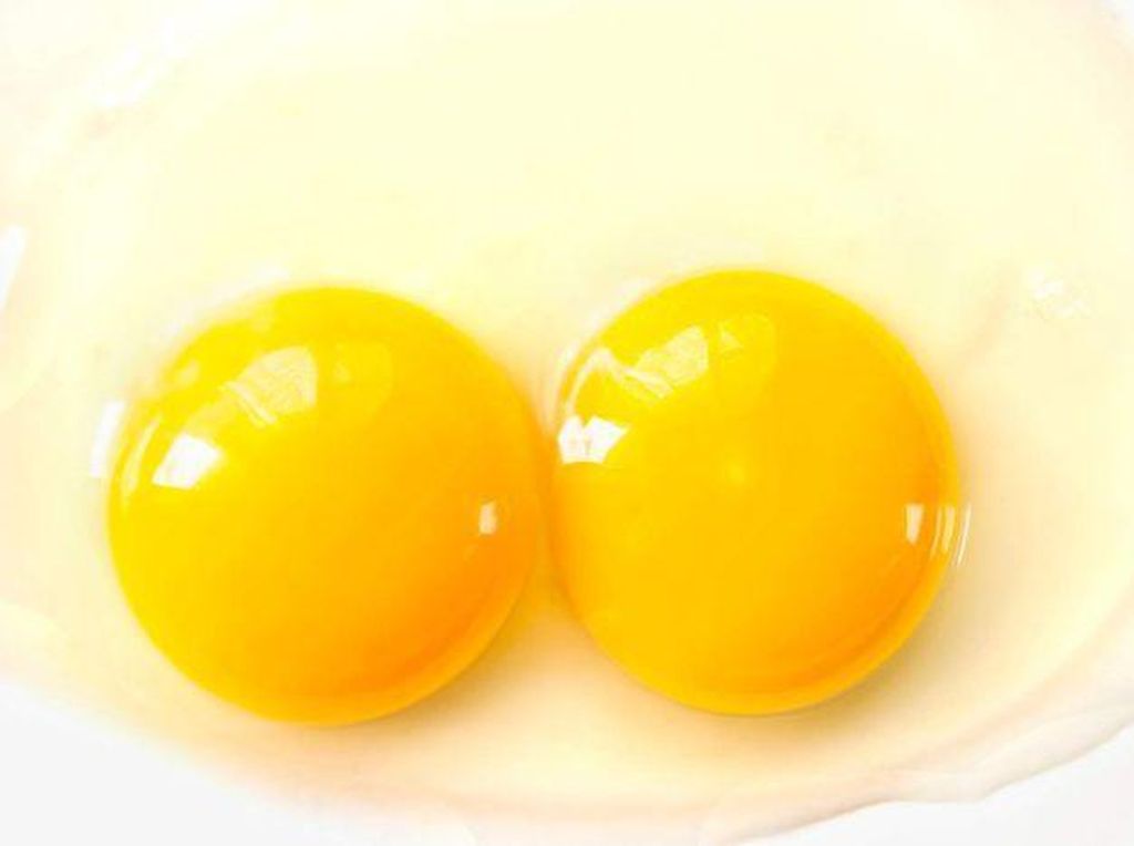 Super Langka! Wanita Ini Temukan 6 Telur Sekaligus dengan Dua Kuning