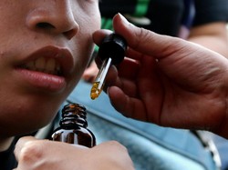 Peru Legalkan Ganja Medis