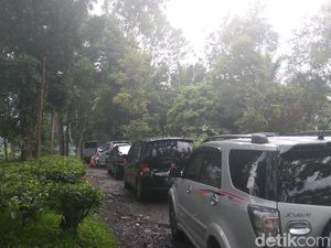 Sudah 3 Jam PNS DKI Peserta Tea Walk Terjebak di Gunung Mas Sudah 3 Jam PNS DKI Peserta Tea Walk Terjebak di Gunung Mas