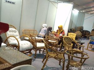 Ini Jurus Pemerintah Setop Penyelundupan Rotan ke China