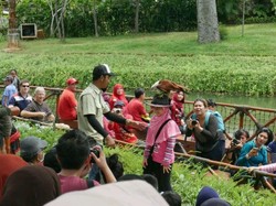 Bukan Cuma Ragunan, Kebun Binatang Juga Ada di Jakarta Utara