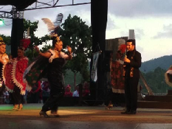 Festival Kesenian Kawasan Selatan 2017 Sukses Digelar